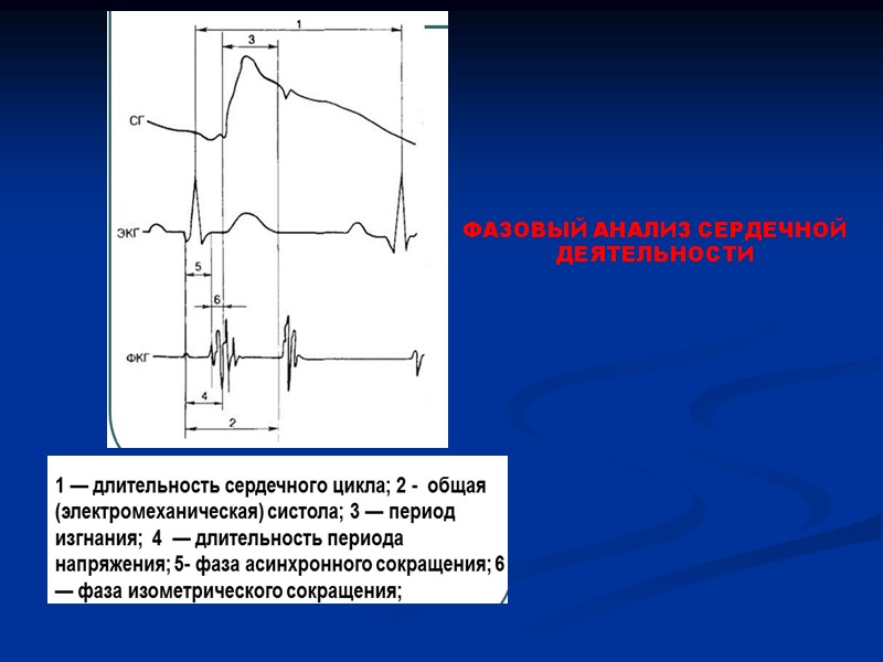 ФАЗОВЫЙ АНАЛИЗ СЕРДЕЧНОЙ ДЕЯТЕЛЬНОСТИ